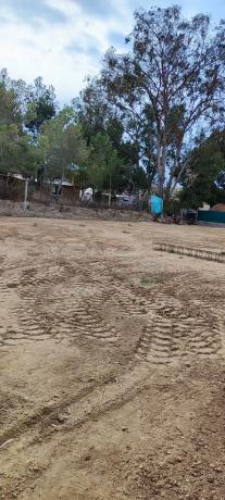 Terreno en castellers, 13