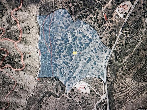 Terreno en Cv-776 s/n