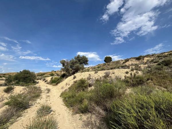 Terreno en Partida Cabrafich