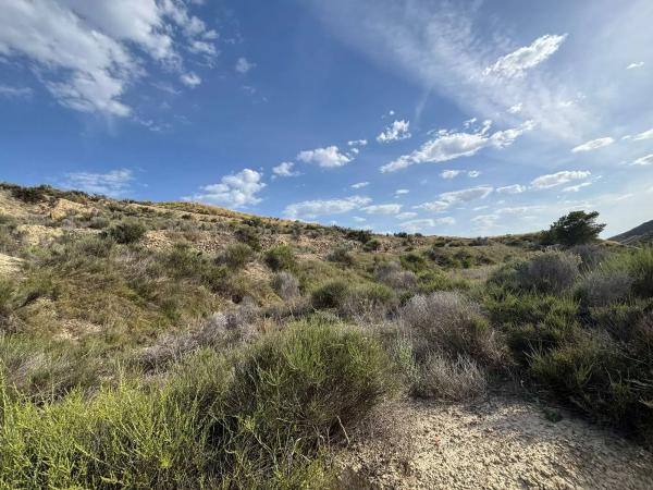 Terreno en Partida Cabrafich