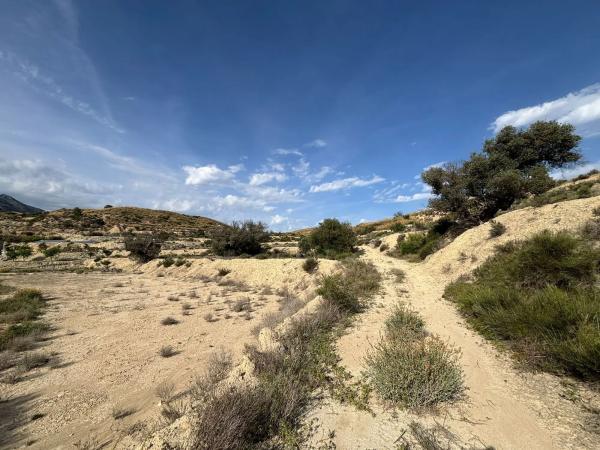 Terreno en Partida Cabrafich