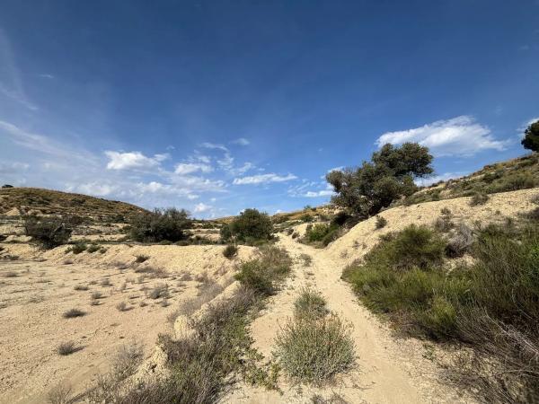Terreno en Partida Cabrafich