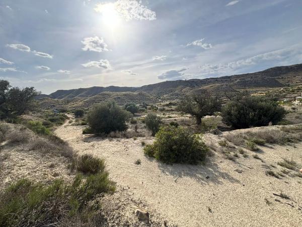 Terreno en Partida Cabrafich