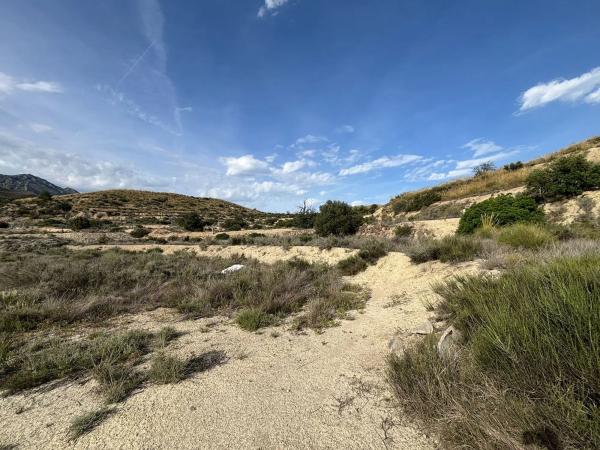 Terreno en Partida Cabrafich