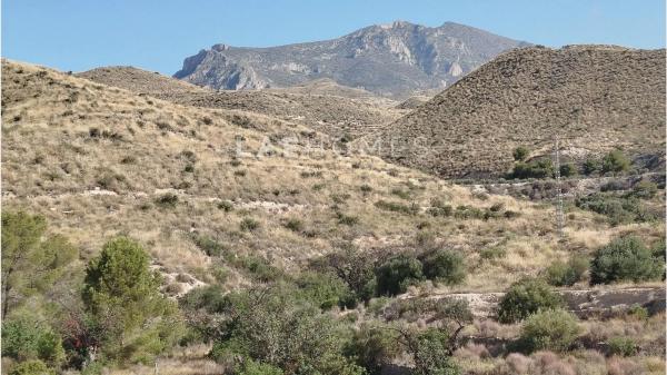 Terreno en calle d'Aigües