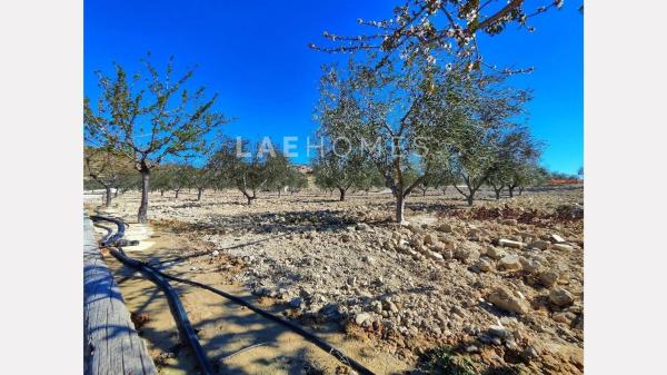 Terreno en calle d'Aigües