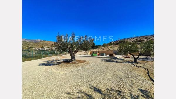 Terreno en calle d'Aigües