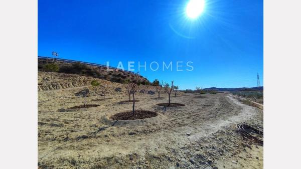 Terreno en calle d'Aigües