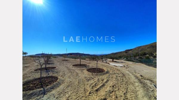 Terreno en calle d'Aigües