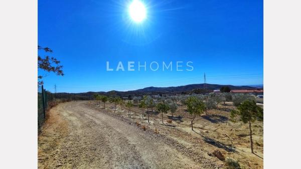 Terreno en calle d'Aigües