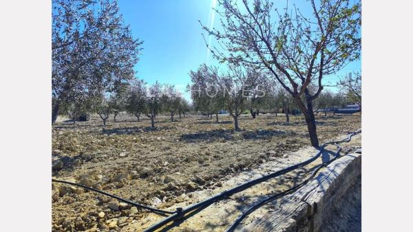 Terreno en calle d'Aigües