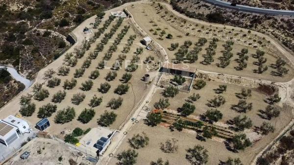 Terreno en calle d'Aigües