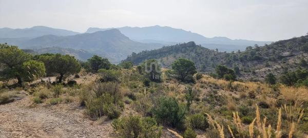 Terreno en Partida Segorb s/n