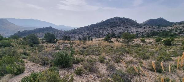 Terreno en Partida Segorb s/n