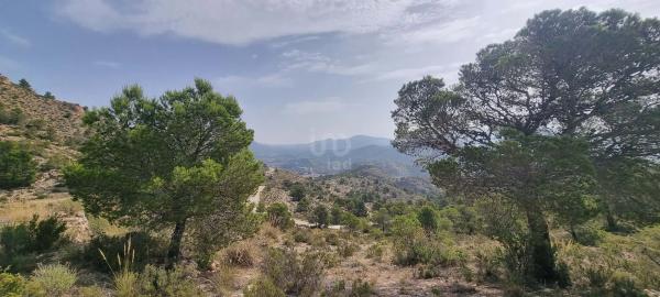 Terreno en Partida Segorb s/n