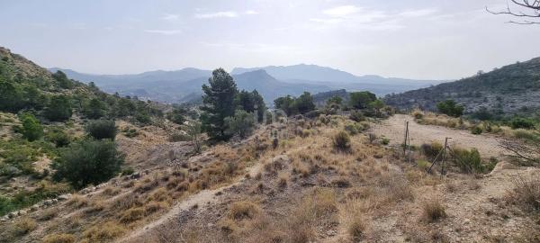 Terreno en Partida Segorb s/n