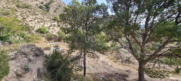 Terreno en Partida Segorb s/n