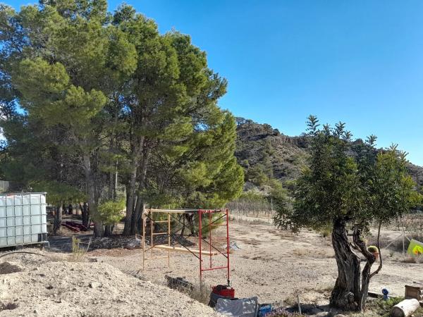 Terreno en camino del Salt s/n