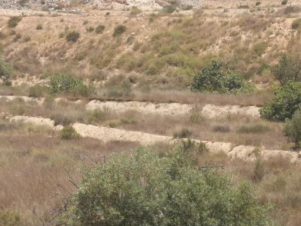 Terreno en La Alcoraya