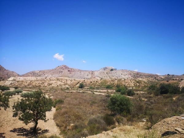 Terreno en La Alcoraya
