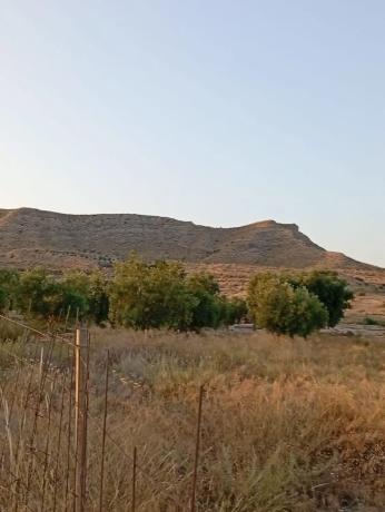 Terreno en Pujada el Boter
