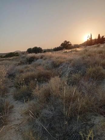 Terreno en Pujada el Boter