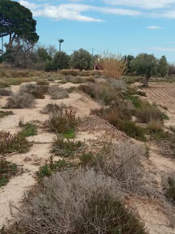 Terreno en via Sense Nom