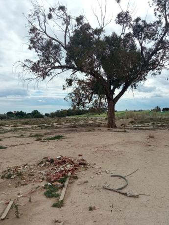 Terreno en via Sense Nom