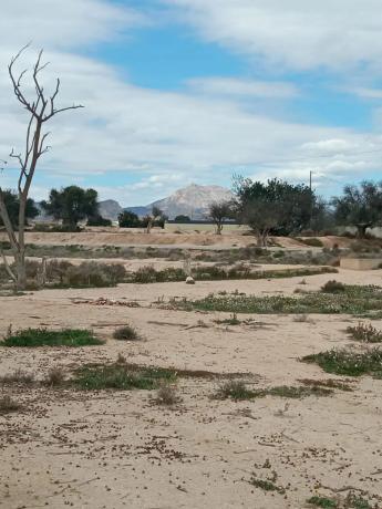 Terreno en via Sense Nom