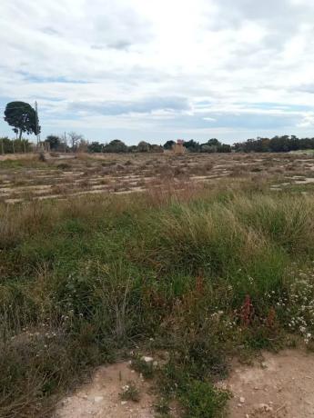 Terreno en via Sense Nom