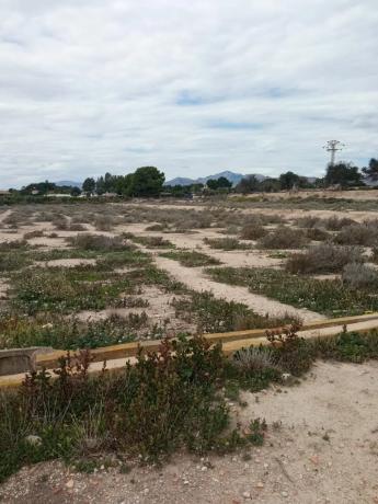 Terreno en via Sense Nom