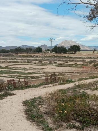 Terreno en via Sense Nom