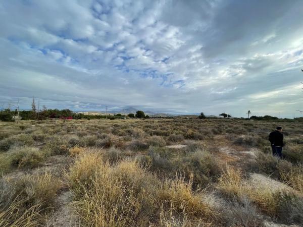 Terreno en Partida Penyetes, 29