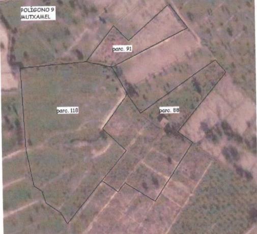 Terreno en Partida Penyetes, 29