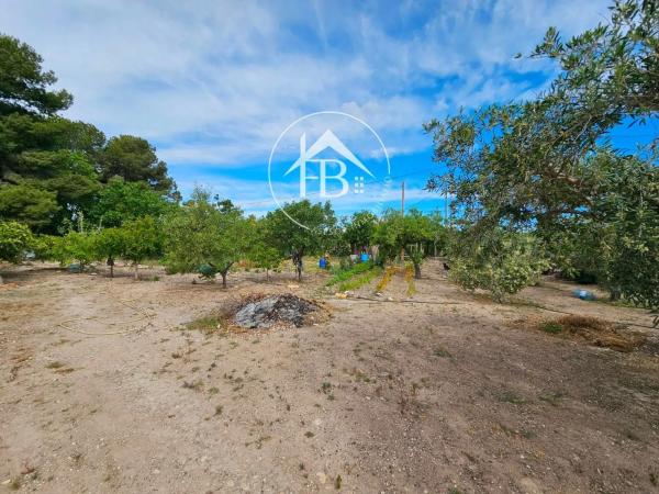 Terreno en La Huerta