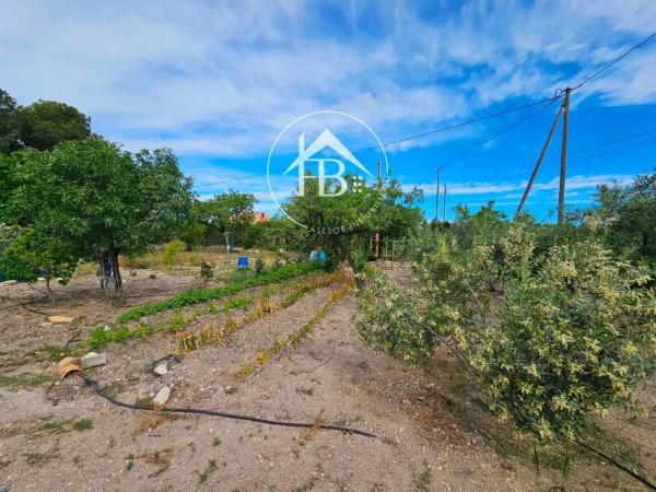 Terreno en La Huerta