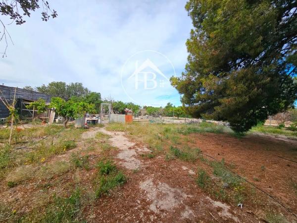 Terreno en La Huerta