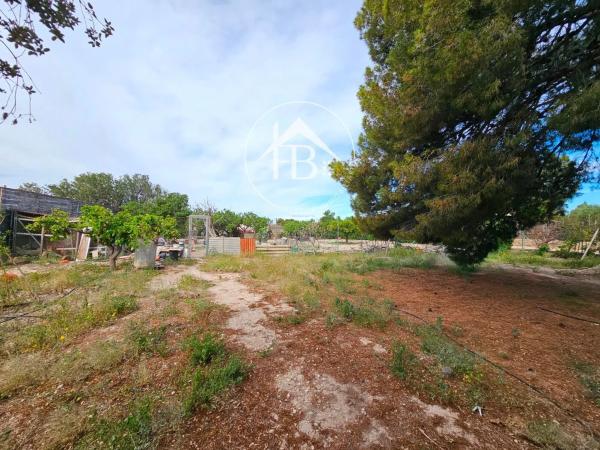 Terreno en La Huerta