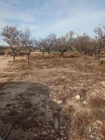 Terreno en calle del Mediterráneo