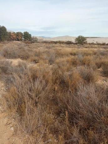 Terreno en calle del Mediterráneo