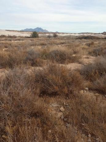 Terreno en calle del Mediterráneo
