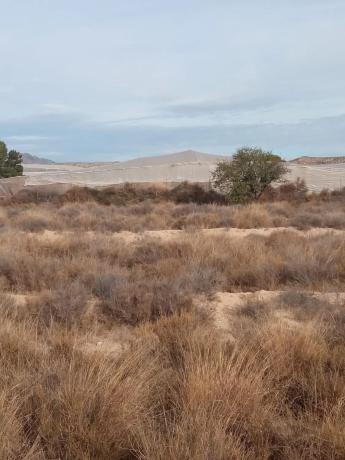 Terreno en calle del Mediterráneo