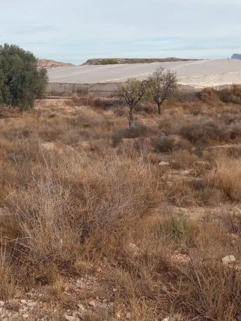 Terreno en calle del Mediterráneo