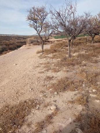 Terreno en calle del Mediterráneo