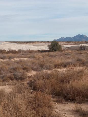 Terreno en calle del Mediterráneo