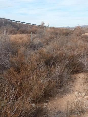 Terreno en calle del Mediterráneo