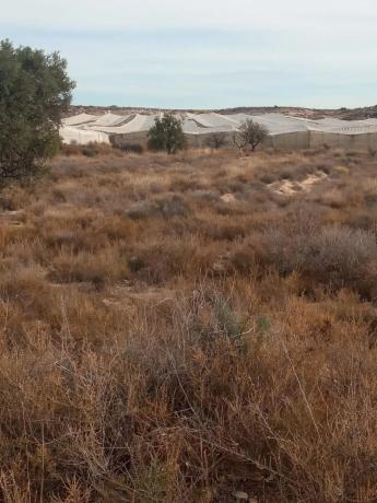 Terreno en calle del Mediterráneo