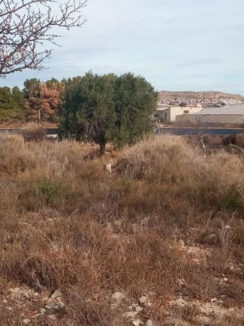 Terreno en calle del Mediterráneo
