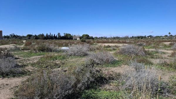 Terreno en San Joan d´alacant