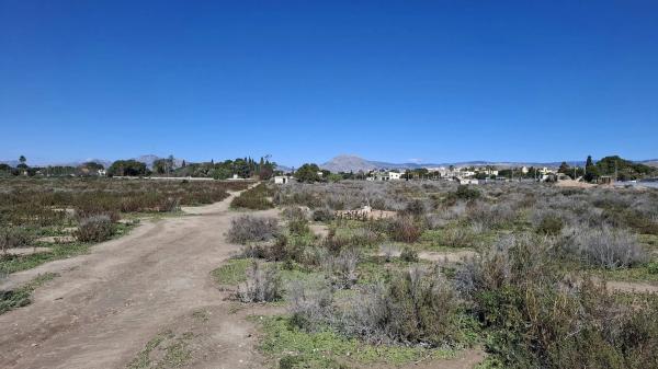 Terreno en San Joan d´alacant